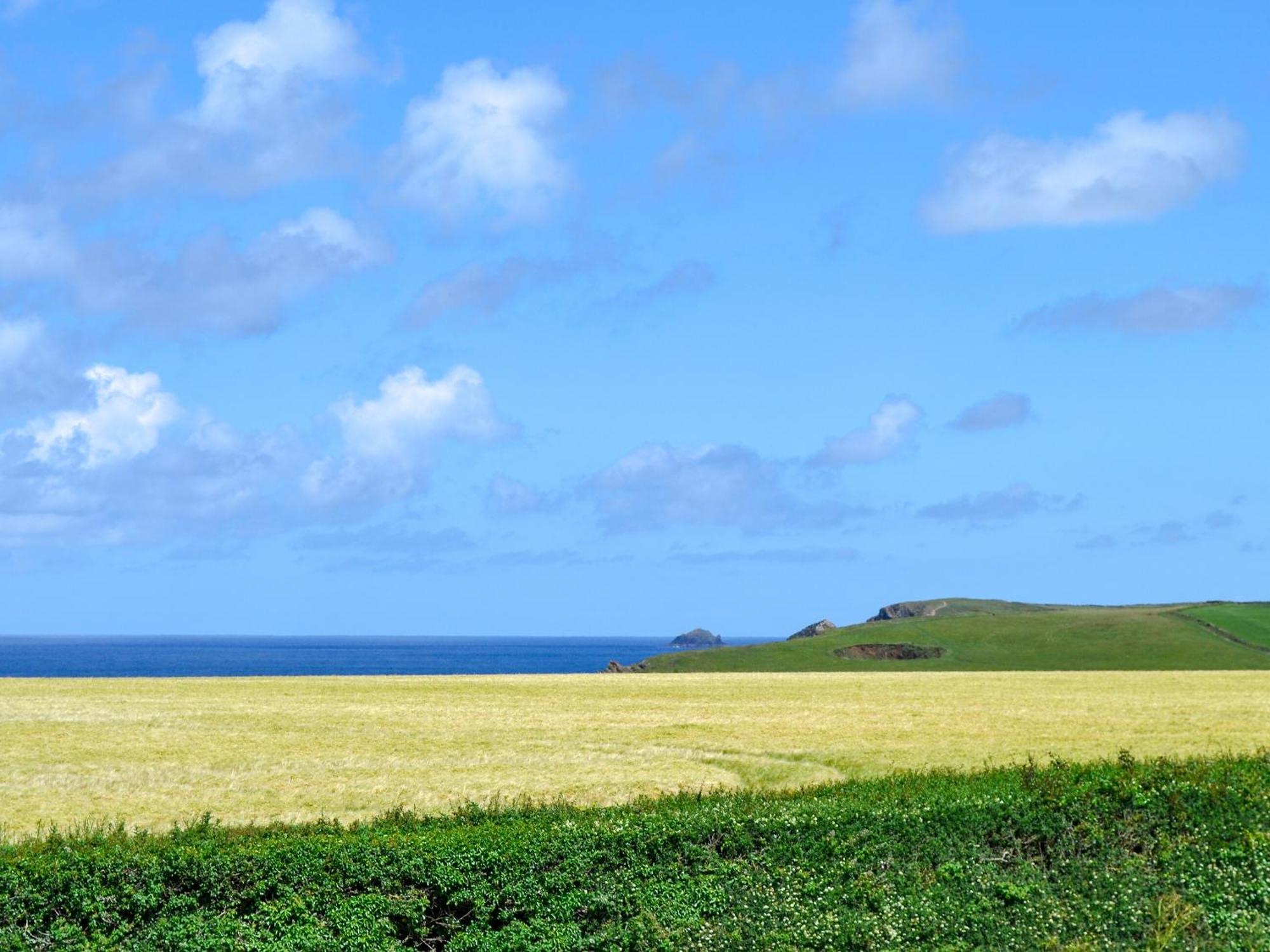 St Cadoc Cottage Saint Merryn ภายนอก รูปภาพ